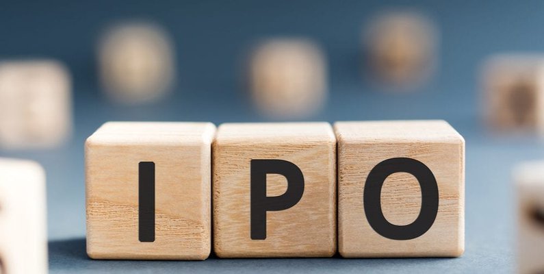 The IPO Market : The Year Ahead